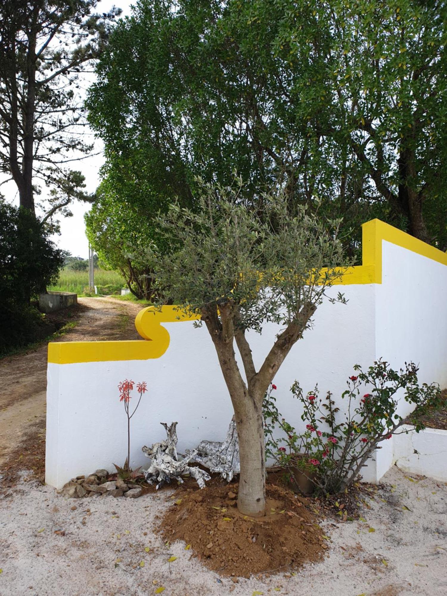 Appartement Sondela Self Catering à São Martinho do Porto Extérieur photo